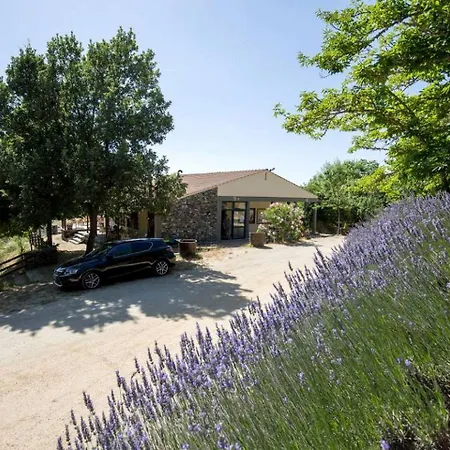 Romantic Tiny Getaway In The Woods Near Braganca, Portugal Bragança